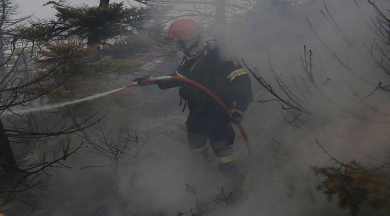Φωτιές στην Αττική: Μάχη με τις αναζωπυρώσεις – Σε ύφεση το πύρινο μέτωπο