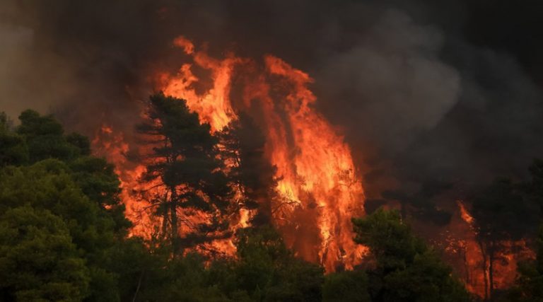 Ισπανία – φωτιά: Εγκαταλείπουν τα σπίτια τους στο θέρετρο Εστεπόνα