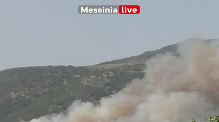Εκκενώνονται περιοχές στη Μεσσηνία λόγω της πυρκαγιάς
