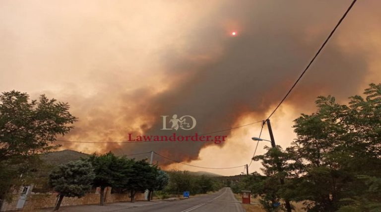 Φωτιά στα Βίλια: Σε ετοιμότητα για εκκένωση του οικισμού (φωτό+βίντεο)