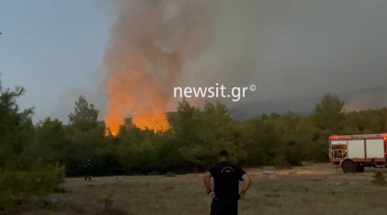 Φωτιά στα Βίλια: Μάχη να μη φτάσουν οι φλόγες στο Πόρτο Γερμενό (βίντεο)