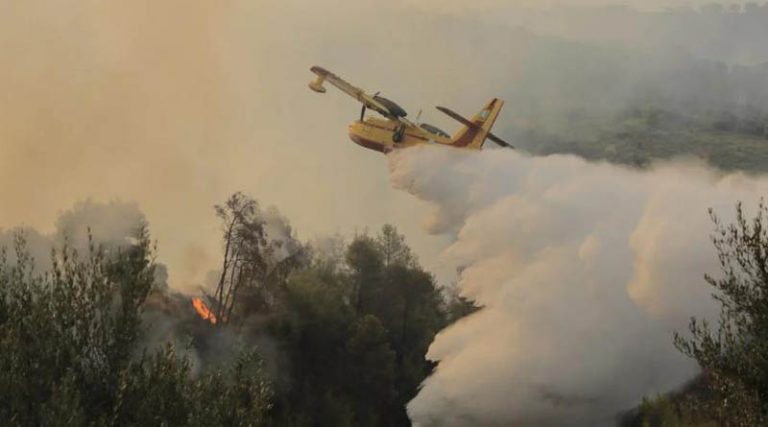 Σε εξέλιξη η πυρκαγιά στο Άγιον Όρος – Επιχειρούν 112 πυροσβέστες – Στη μάχη και εναέρια μέσα