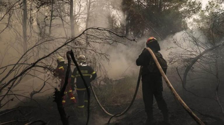 Δασοκομάντος: Η επιστροφή των επίλεκτων στης μάχη με τις φλόγες