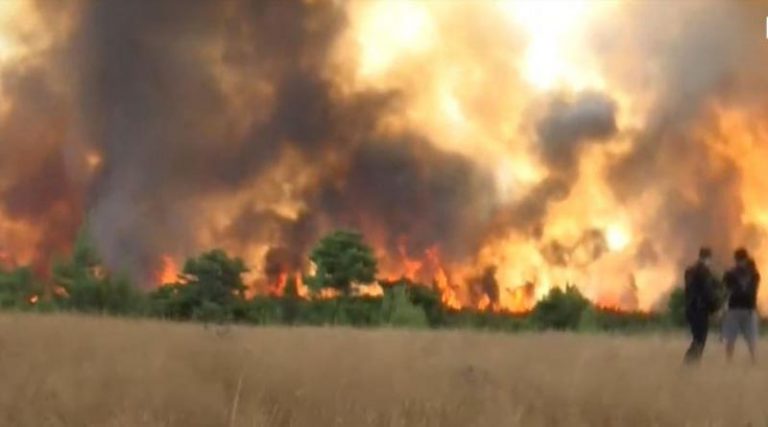 Συγκλονιστικές εικόνες από την εκκένωση της Δροσοπηγής -Νέα φωτιά στα Βασιλικά Κτήματα (βίντεο)