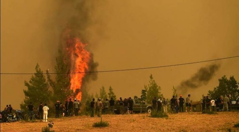 Σοκάρουν τα στοιχεία μόνο για την Εύβοια: Ξεπερνούν τα 500.000 στρέμματα καμένης γης