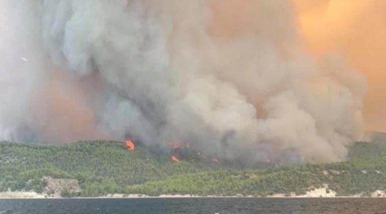 Εκτός ελέγχου η φωτιά στην Εύβοια – Στις Ροβιές οι αρχές καλούν τους κατοίκους να συγκεντρωθούν στην παραλία!