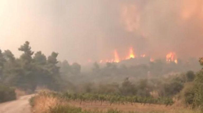 Δήμαρχος Μαντουδίου: Καιγόμαστε ολοσχερώς- Ανεξέλεγκτη η πυρκαγιά! (βίντεο)