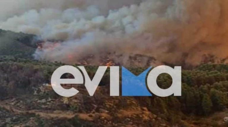 Φωτιά Εύβοια: Δήμαρχος Ιστιαίας – Είναι ντροπή για την πολιτεία αυτό που συμβαίνει! (βίντεο)