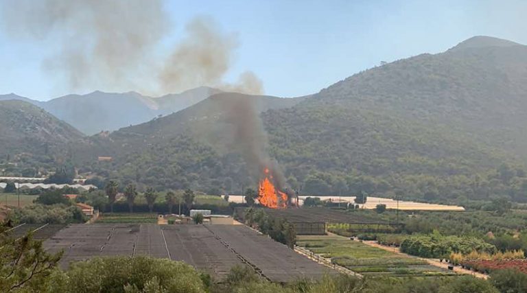 Έκτακτο: Νέα φωτιά στον Μαραθώνα, κοντά στη Βάση Ελικοπτέρων – Μαίνεται και η πυρκαγιά κοντά στη Λίμνη (φωτό)