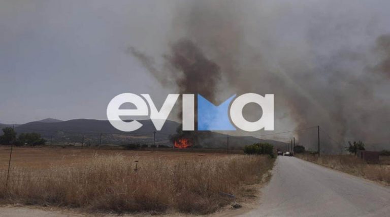 Νέα μεγάλη φωτιά στην Εύβοια! (φωτό & βίντεο)