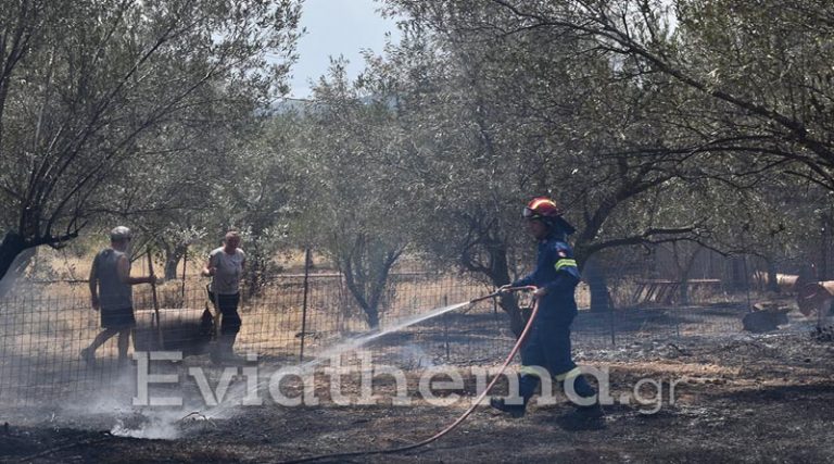 Φωτιά στην Εύβοια: Κάηκαν πάνω από 150 σπίτια και 20.000 στρέμματα γης – Εκκενώνονται 3 ακόμα οικισμοί