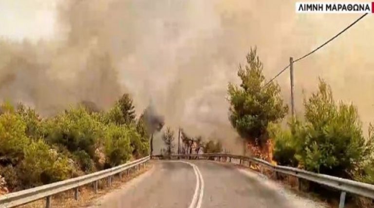 Φωτιές: Έκκληση για περιφρούρηση του Δήμου Μαραθώνα &  για άμεση βοήθεια προς τους πυρόπληκτους