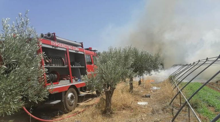 Έγκαιρη επέμβαση της Πυροσβεστικής σε φωτιά στον Μαραθώνα (φωτό)