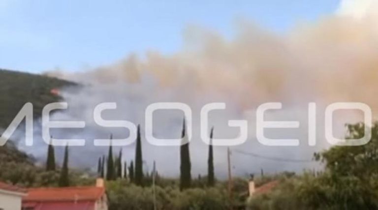 Νέα φωτιά στην Μεσσηνία: Καίγεται η Μέλπεια (βίντεο)