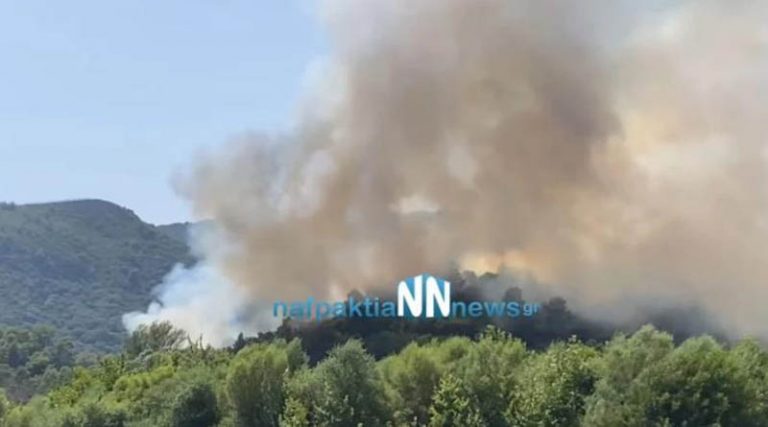 Μεγάλη φωτιά τώρα στην Αιτωλοακαρνανία – Εκκενώνονται προληπτικά οικισμοί (βίντεο)