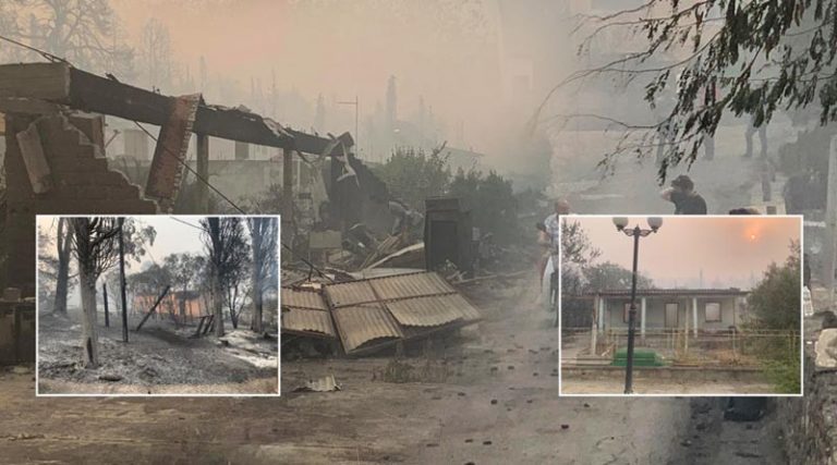 Φωτιά στην Εύβοια: Πλήρης καταστροφή στις Ροβιές! (φωτό & βίντεο)