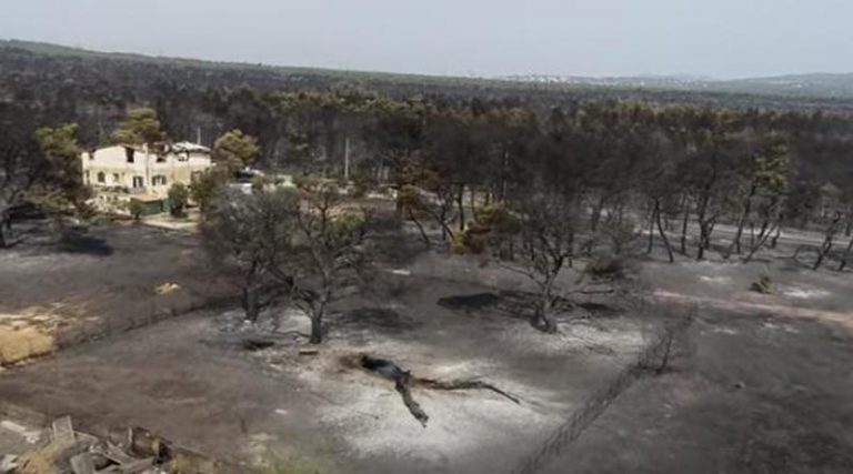 Φωτιές στην Αττική: Εμπρηστικός μηχανισμός βρέθηκε στο δάσος της Βαρυμπόμπης (φωτό)