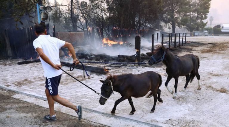 Συγκλονιστικές εικόνες στη Βαρυμπόμπη με ανθρώπους να σώζουν άλογα και σκυλιά