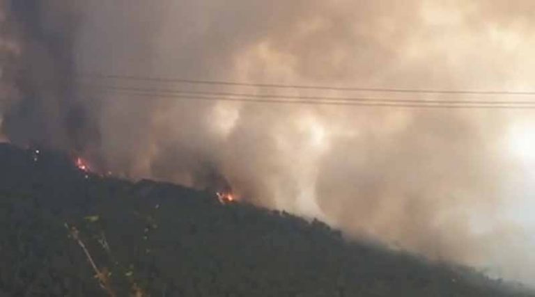 Φωτιά στα Βίλια: Κάηκαν σπίτια εκτός οικισμού – Σε ετοιμότητα οι κάτοικοι για να εκκενώσουν