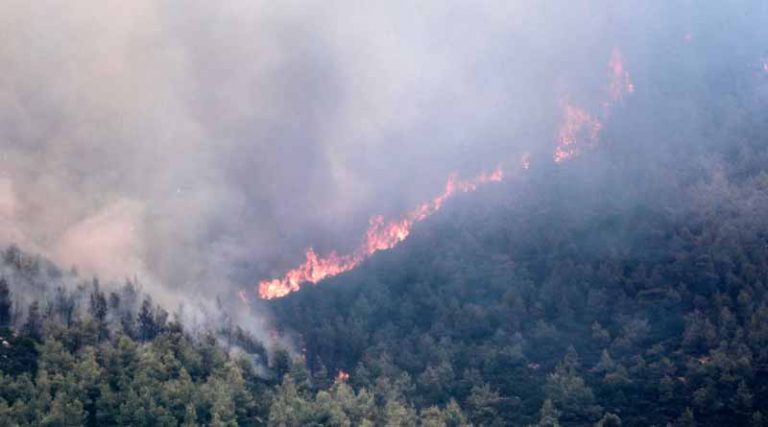 Φωτιά στα Βίλια: Ενεργό μέτωπο μέσα στο δάσος