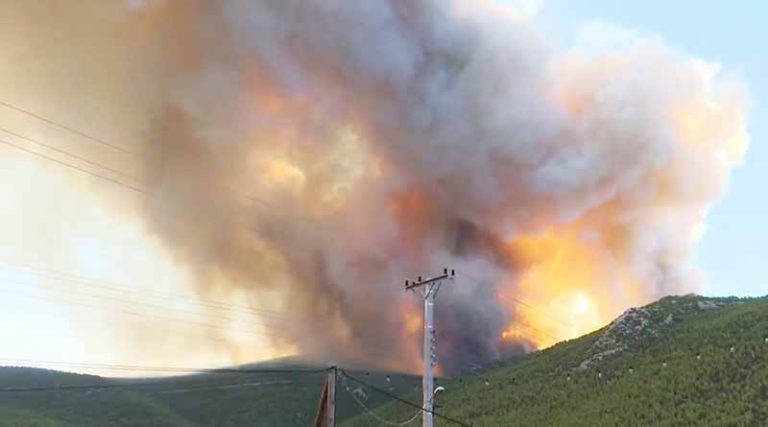 Φωτιά στα Βίλια: Συγκλονιστικό βίντεο με εθελοντές περικυκλωμένους από τις φλόγες