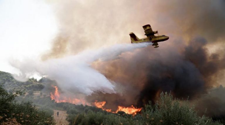 Φωτιές: Μάχη με τον πύρινο εφιάλτη σε Κάρυστο, Κέρκυρα, Αίγιο, «οι φλόγες είναι τεράστιες» – Πύρινος εφιάλτης για 7η ημέρα στη Ρόδο