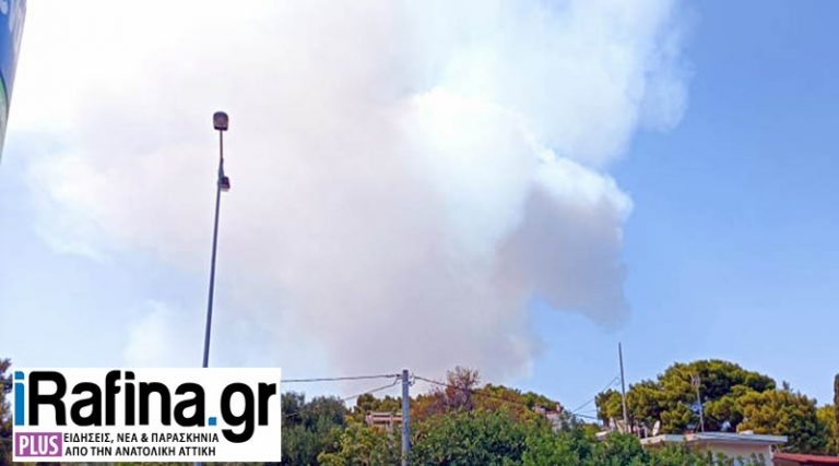 Πανικός από τους καπνούς σε Ραφήνα, Παλλήνη & Μαραθώνα – Καλούν όλοι την Πυροσβεστική για φωτιά