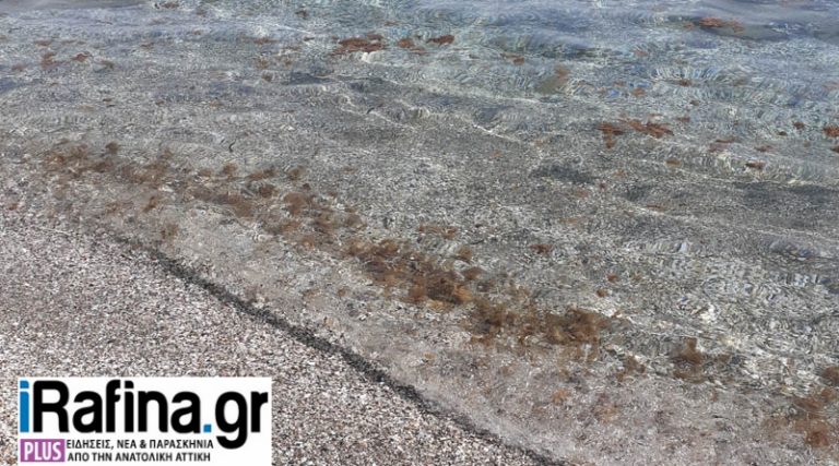 Νέα Μάκρη: Καταγγελία για  λύματα στην παραλία στο Ζούμπερι (φωτό)