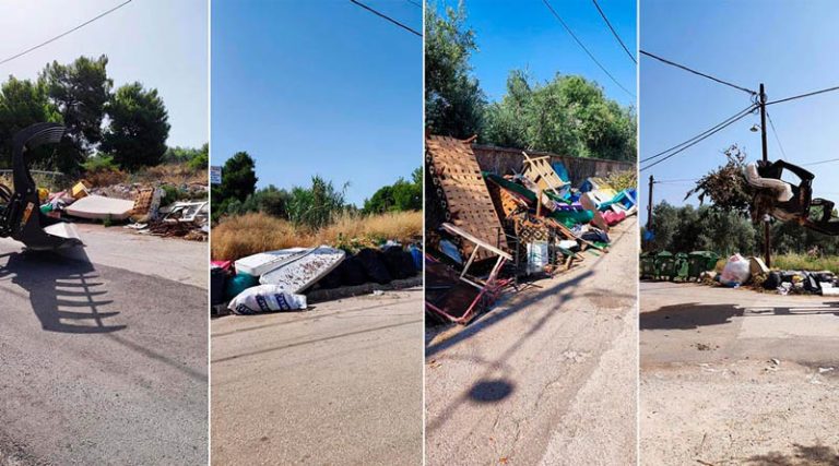 Δήμος Μαραθώνα: Μη βγάζετε έξω κλαδευτικά υπολείμματα