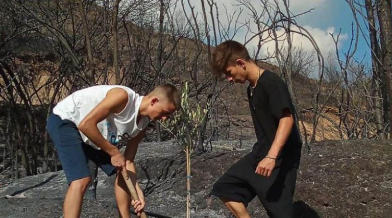 Το πρώτο δέντρο μετά τις φωτιές στην Αρχαία Ολυμπία φύτεψαν δύο 15χρονοι! (φωτό)