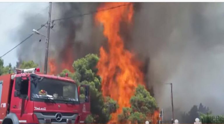 Μαρτυρία για εμπρησμό: «Είδα ύποπτες κινήσεις στο Λαύριο, πριν την πυρκαγιά στο Σούνιο»