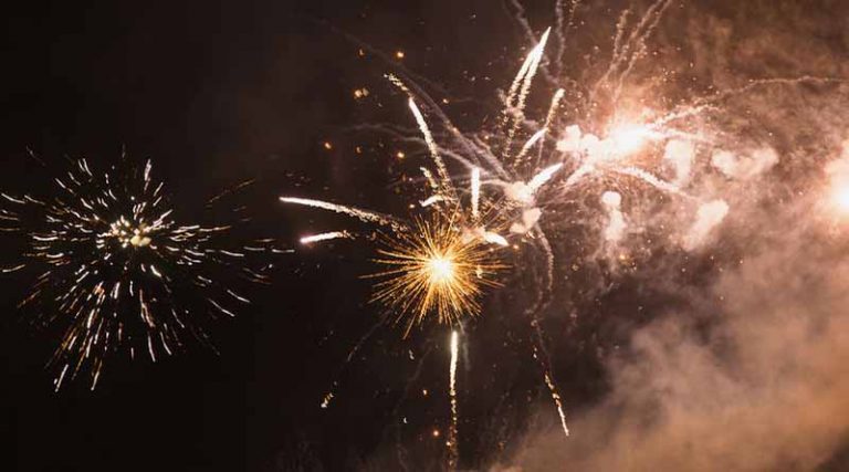 Έκκληση από φιλοζωικές οργανώσεις για αθόρυβα πυροτεχνήματα την Πρωτοχρονιά