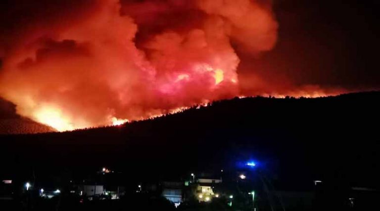 Νύχτα αγωνίας στην Αττική: Ολονύχτια μάχη με τις φλόγες στα Βίλια – «Καραούλι» για αναζωπυρώσεις στην Κερατέα (video)