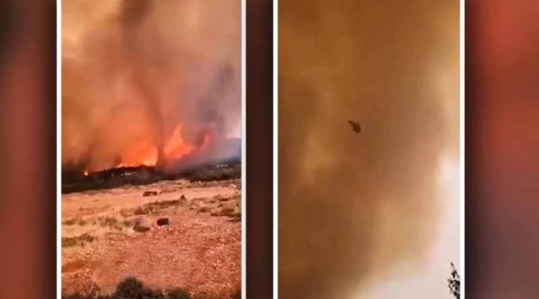 Δείτε βίντεο από τα Βίλια: Στρόβιλος φωτιάς εκτόξευσε κορμό δέντρου προς τους πυροσβέστες