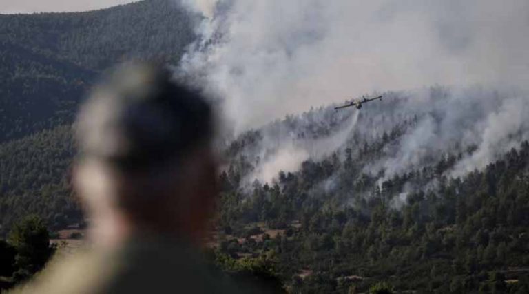 Τέλος το πράσινο της Ελλάδας: Κάηκαν πάνω από 50.000 στρέμματα σε Βίλια και Κερατέα – Χωρίς «πνεύμονα» η Αττική