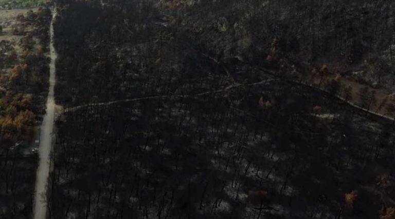 Εύβοια: Αποκαρδιωτικές εικόνες από drone ένα μήνα μετά την καταστροφική φωτιά (βίντεο)