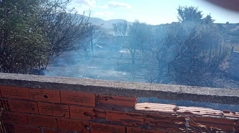 Εικόνες από τη φωτιά στα σύνορα Μαρκοπούλου – Βραυρώνας (φωτό)
