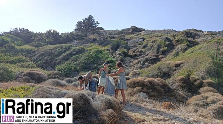 Ραφήνα: Την Κυριακή καθαρίζουμε το δάσος της οδού Ποσειδώνος & τους αμμόλοφους στις Μαρίκες