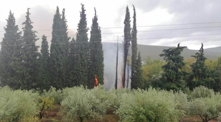 Οι πρώτες εικόνες από τη φωτιά κοντά στην λίμνη του Μαραθώνα (φωτό)