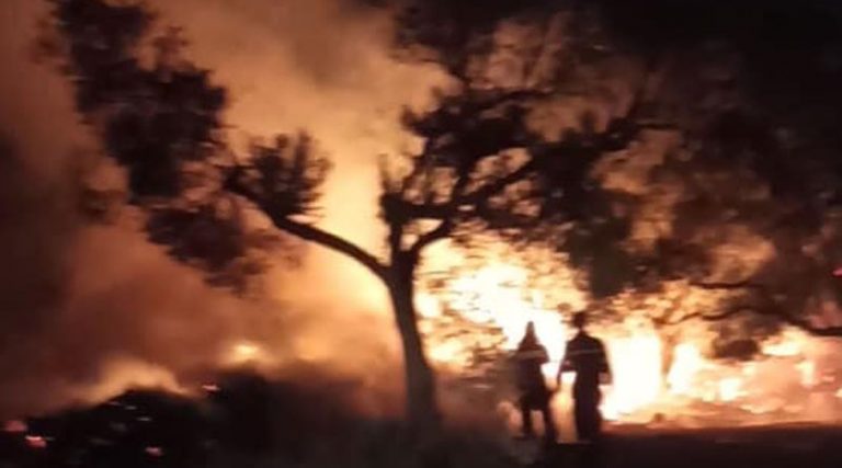 Εικόνες από τη φωτιά στα Σπάτα (φωτό & βίντεο)