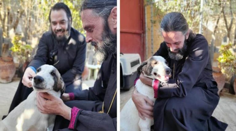 Μαρκόπουλο: Οι δύο κληρικοί που υιοθέτησαν ένα αδέσποτο σκυλάκι (φωτό)