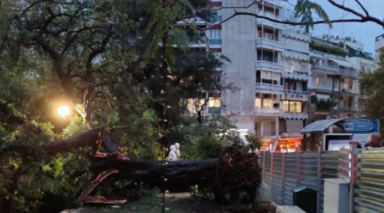 Κακοκαιρία «Μπάλλος»: Ξεριζώθηκαν δέντρα στο Κολωνάκι