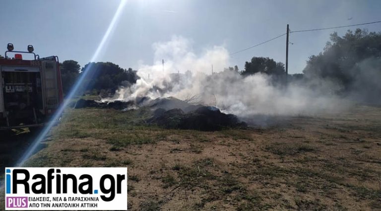 Δήμος Ραφήνας Πικερμίου: Οδηγίες για το κάψιμο κλαδιών & ξερών χόρτων
