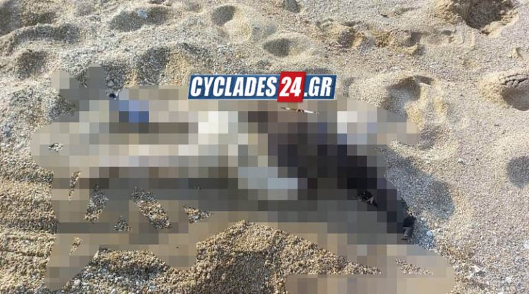 Πτώμα μικρού παιδιού βρέθηκε σε παραλία στη Νάξο (φωτό)