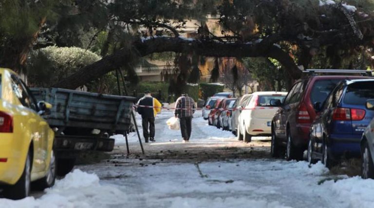 Αποζημίωση για αυτοκίνητα που υπέστησαν ζημιές από πτώσεις δέντρων