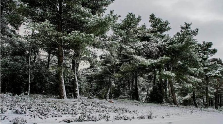 Κακοκαιρία “Ελπίδα”: Χιονίζει στην Αττική – Στα λευκά Πεντέλη, Υμηττός, Πάρνηθα (φωτό & βίντεο)