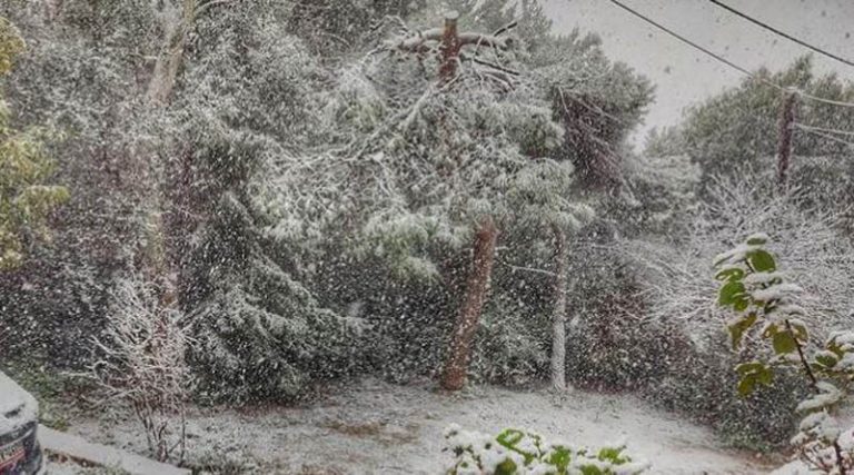 Ραφήνα: Η φωτό που ανέβασε ο Κότσιρας από την χιονισμένη Καλλιτεχνούπολη