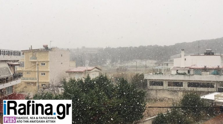Κακοκαιρία “Ελπίδα”: Ξεκίνησε να χιονίζει και στη Ραφήνα (φωτό & βίντεο)