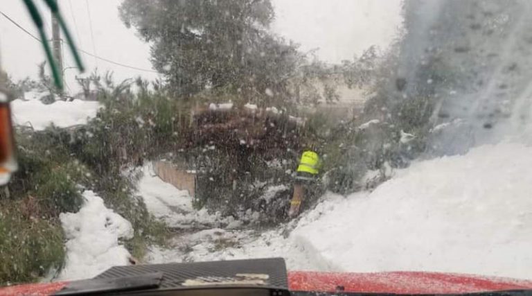 Απεγκλωβισμοί ατόμων, κομμένα δέντρα και χιονόπτωση στον Μαραθώνα (φωτό)