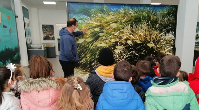 Στο θαλασσινό Μουσείο της Ραφήνας oι μαθητές του 4ου Νηπιαγωγείου (φωτό)